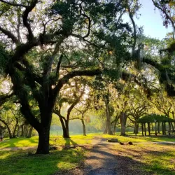 Matheson Hammock Park - Coral Gables