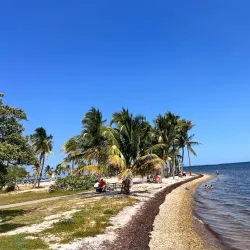 Matheson Hammock Park - Coral Gables