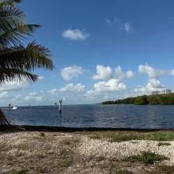 Matheson Hammock Park - Coral Gables