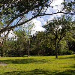 Matheson Hammock Park - Coral Gables