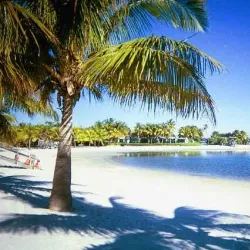 Matheson Hammock Park - Coral Gables