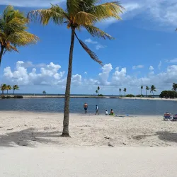 Matheson Hammock Park - Coral Gables