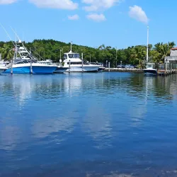 Matheson Hammock Park - Coral Gables