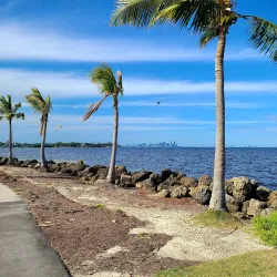 Matheson Hammock Park - Coral Gables