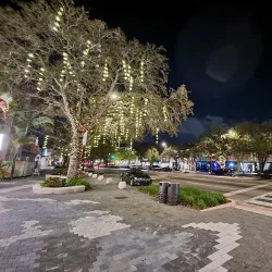 Miracle Mile - Coral Gables