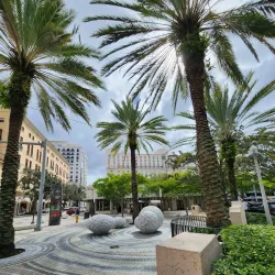 Miracle Mile - Coral Gables