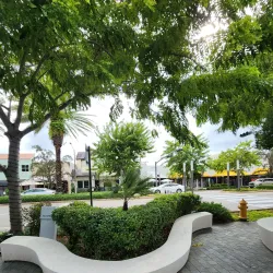 Miracle Mile - Coral Gables