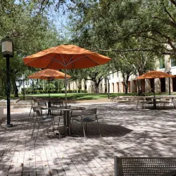 University of Miami - Coral Gables
