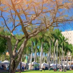 University of Miami - Coral Gables