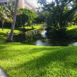 University of Miami - Coral Gables