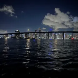 Venetian Causeway - Coral Gables