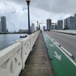 Venetian Causeway - Coral Gables