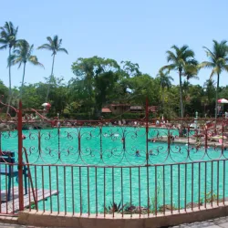 Venetian Pool - Coral Gables