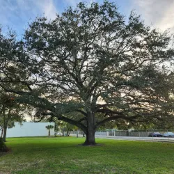 Betty Booth Roberts Park - Coral Springs