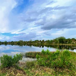 Coral Springs Dog Park - Coral Springs