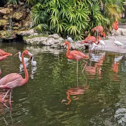 Flamingo Gardens - Coral Springs