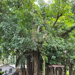 Flamingo Gardens - Coral Springs