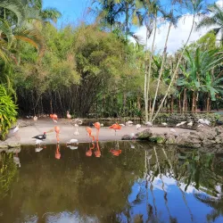 Flamingo Gardens - Coral Springs