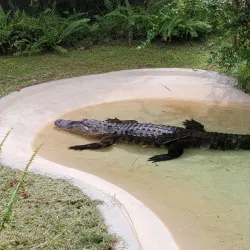 Flamingo Gardens - Coral Springs