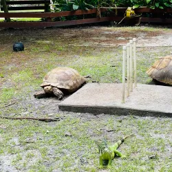 Flamingo Gardens - Coral Springs