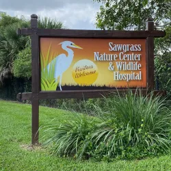 Sawgrass Nature Center and Wildlife Hospital - Coral Springs