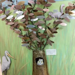 Sawgrass Nature Center and Wildlife Hospital - Coral Springs