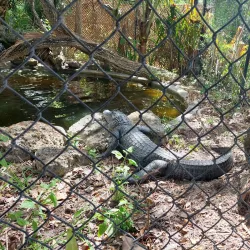 Sawgrass Nature Center and Wildlife Hospital - Coral Springs