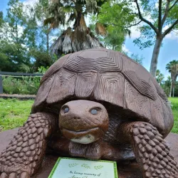Sawgrass Nature Center and Wildlife Hospital - Coral Springs