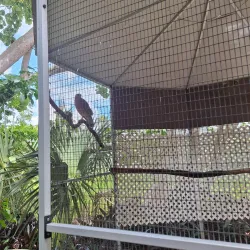 Sawgrass Nature Center and Wildlife Hospital - Coral Springs