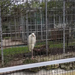 Sawgrass Nature Center and Wildlife Hospital - Coral Springs