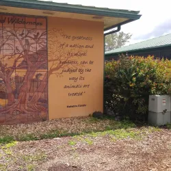 Sawgrass Nature Center and Wildlife Hospital - Coral Springs