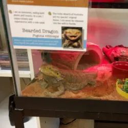 Sawgrass Nature Center and Wildlife Hospital - Coral Springs