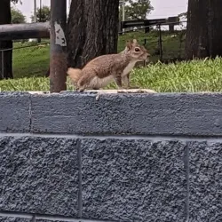 Crestview City Park - Crestview