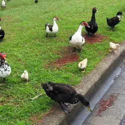 Crestview City Park - Crestview