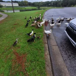 Crestview City Park - Crestview