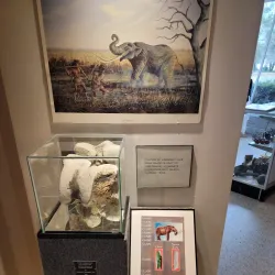 Heritage Museum of Northwest Florida - Crestview