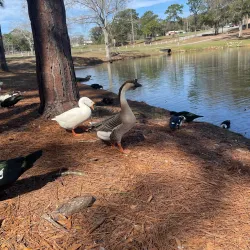 Twin Lakes Park - Crestview
