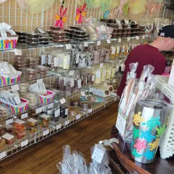 Angell & Phelps Chocolate Factory - Daytona Beach