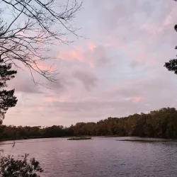 Central Park - Daytona Beach