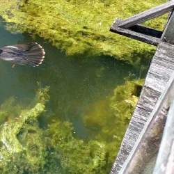 Central Park - Daytona Beach