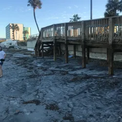 Daytona Beach - Daytona Beach