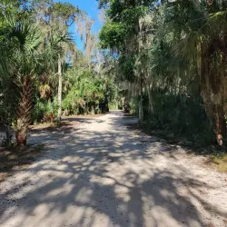 Tomoka State Park - Daytona Beach