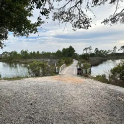 Camp Helen State Park - Defuniak Springs