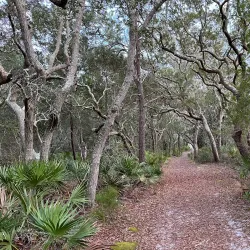 Camp Helen State Park - Defuniak Springs