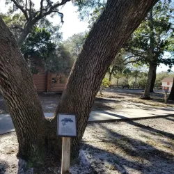 Camp Helen State Park - Defuniak Springs