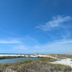 Camp Helen State Park - Defuniak Springs
