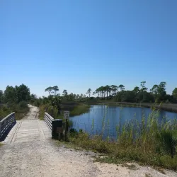 Camp Helen State Park - Defuniak Springs