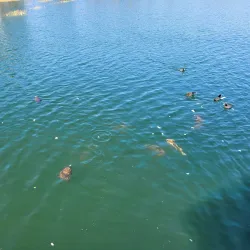 Chautauqua Hall - Defuniak Springs