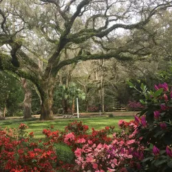 Eden Gardens State Park - Defuniak Springs