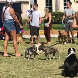 Atlantic Avenue - Delray Beach